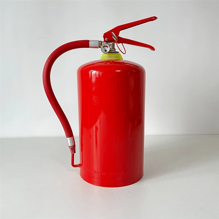 SABS Dry Powder Fire Extinguisher